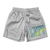 Field Rec Mesh Shorts - Silver / Turquoise